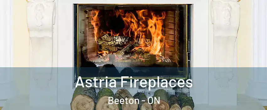  Astria Fireplaces Beeton - ON