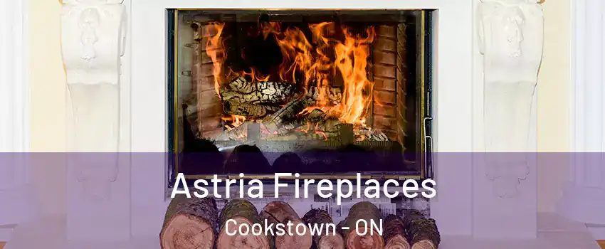  Astria Fireplaces Cookstown - ON