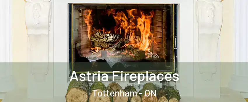  Astria Fireplaces Tottenham - ON