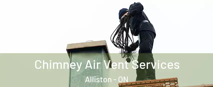  Chimney Air Vent Services Alliston - ON