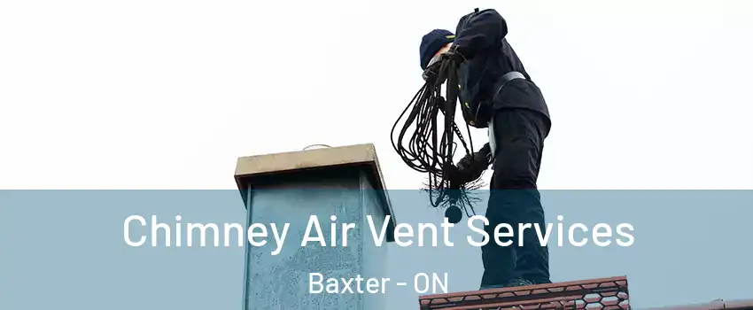  Chimney Air Vent Services Baxter - ON