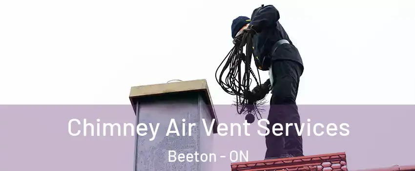  Chimney Air Vent Services Beeton - ON
