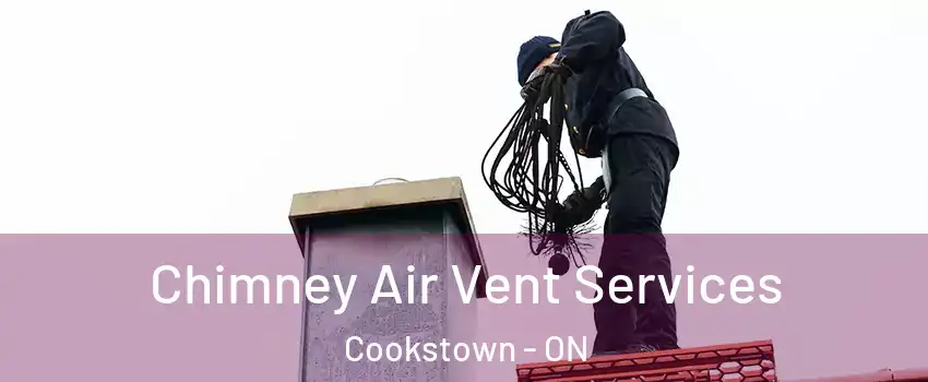  Chimney Air Vent Services Cookstown - ON