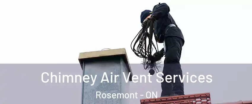  Chimney Air Vent Services Rosemont - ON