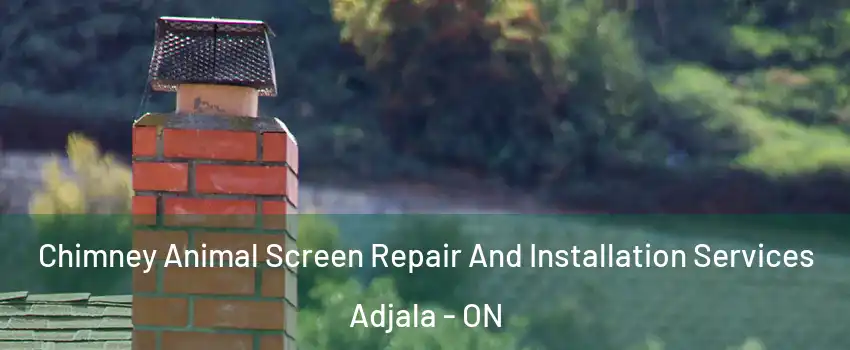  Chimney Animal Screen Repair And Installation Services Adjala - ON