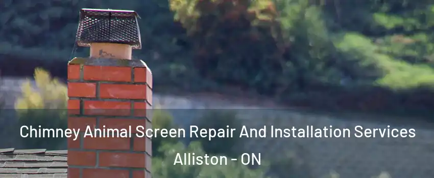  Chimney Animal Screen Repair And Installation Services Alliston - ON