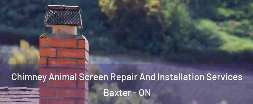  Chimney Animal Screen Repair And Installation Services Baxter - ON