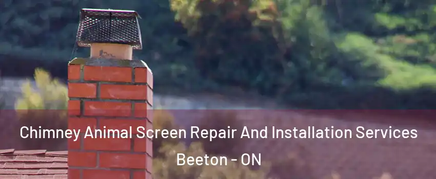  Chimney Animal Screen Repair And Installation Services Beeton - ON