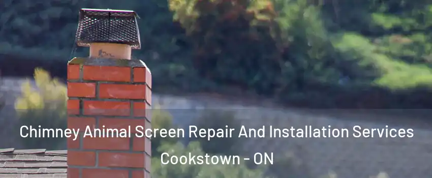  Chimney Animal Screen Repair And Installation Services Cookstown - ON