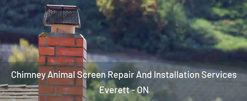  Chimney Animal Screen Repair And Installation Services Everett - ON