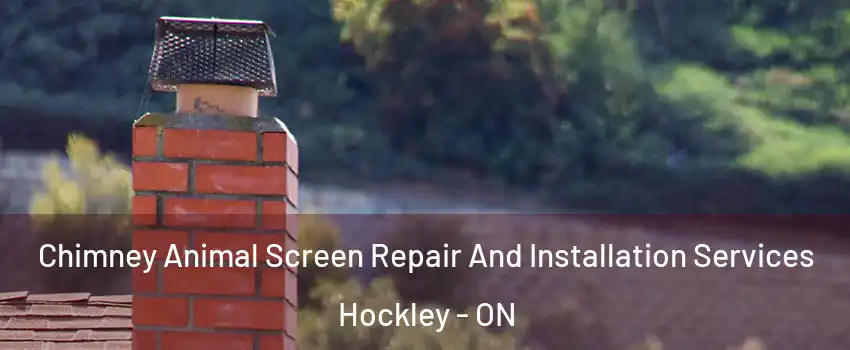  Chimney Animal Screen Repair And Installation Services Hockley - ON