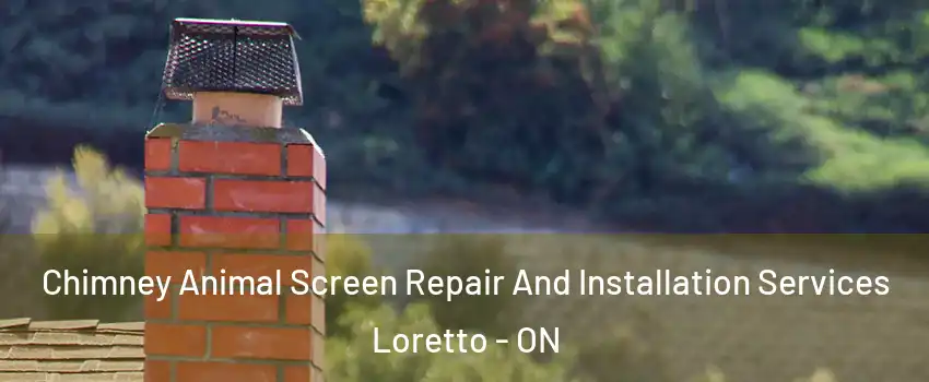  Chimney Animal Screen Repair And Installation Services Loretto - ON