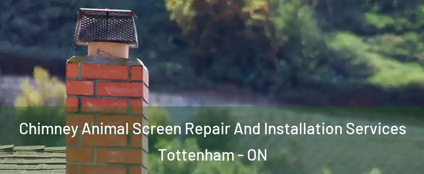  Chimney Animal Screen Repair And Installation Services Tottenham - ON
