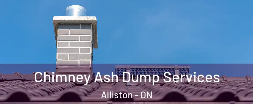  Chimney Ash Dump Services Alliston - ON