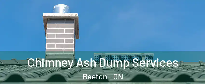  Chimney Ash Dump Services Beeton - ON
