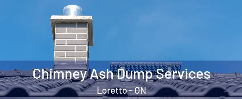  Chimney Ash Dump Services Loretto - ON
