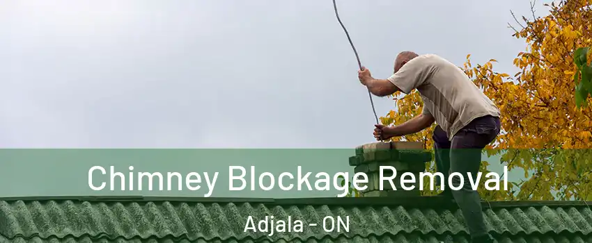  Chimney Blockage Removal Adjala - ON