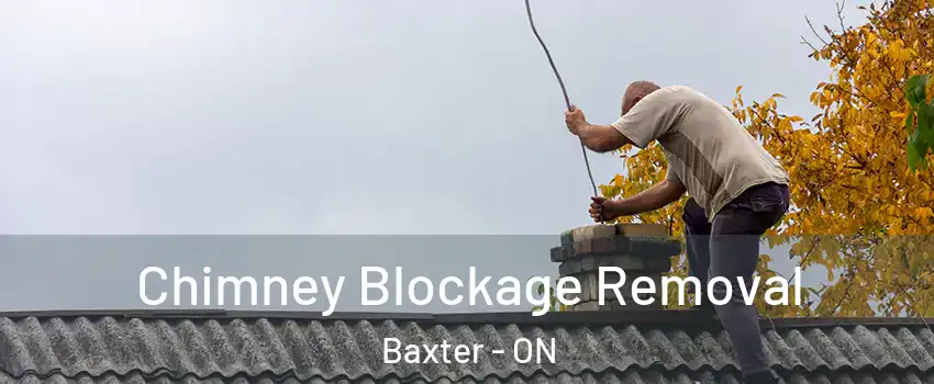  Chimney Blockage Removal Baxter - ON