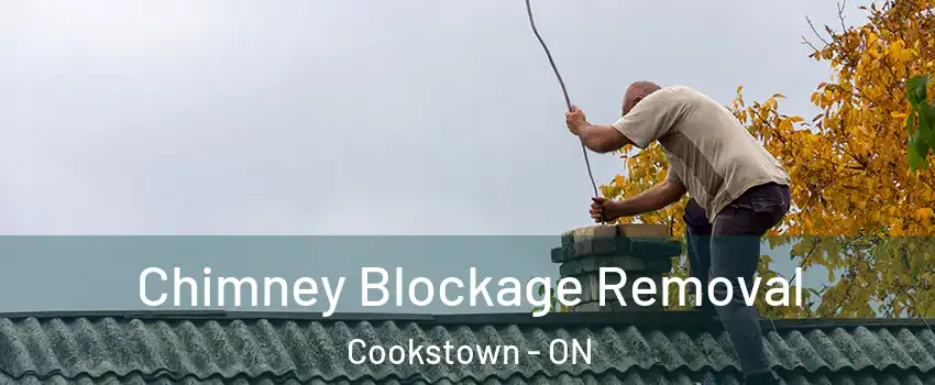 Chimney Blockage Removal Cookstown - ON