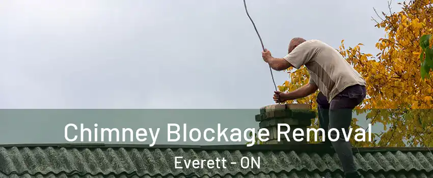  Chimney Blockage Removal Everett - ON