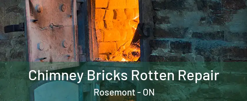  Chimney Bricks Rotten Repair Rosemont - ON