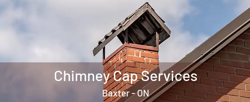  Chimney Cap Services Baxter - ON