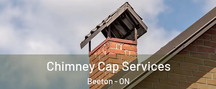  Chimney Cap Services Beeton - ON