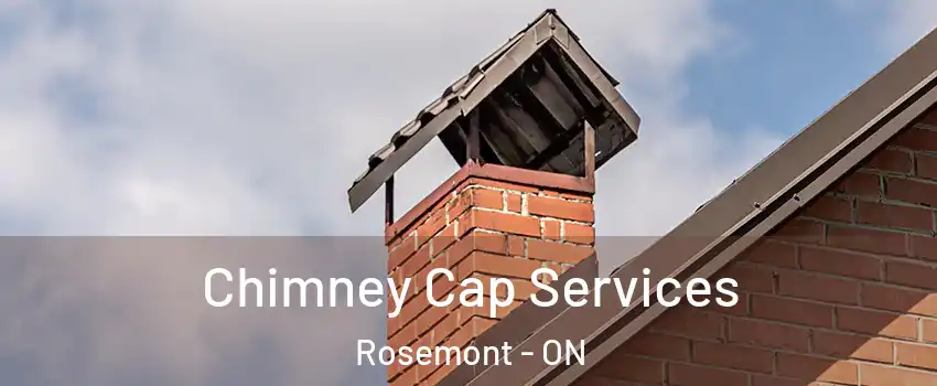  Chimney Cap Services Rosemont - ON