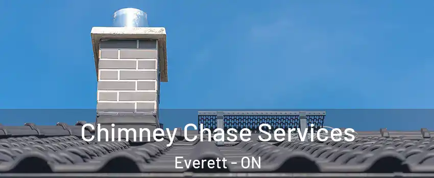  Chimney Chase Services Everett - ON