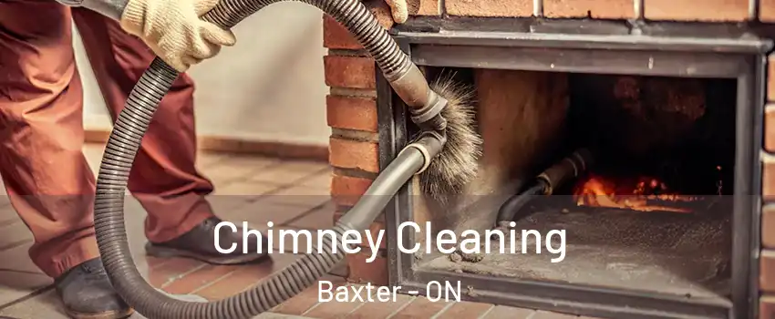  Chimney Cleaning Baxter - ON