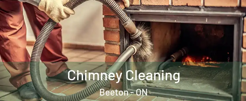  Chimney Cleaning Beeton - ON