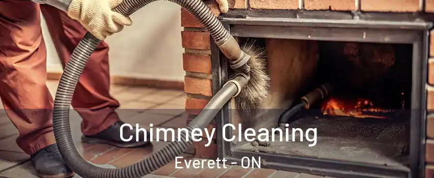  Chimney Cleaning Everett - ON