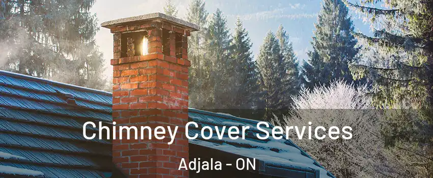 Chimney Cover Services Adjala - ON