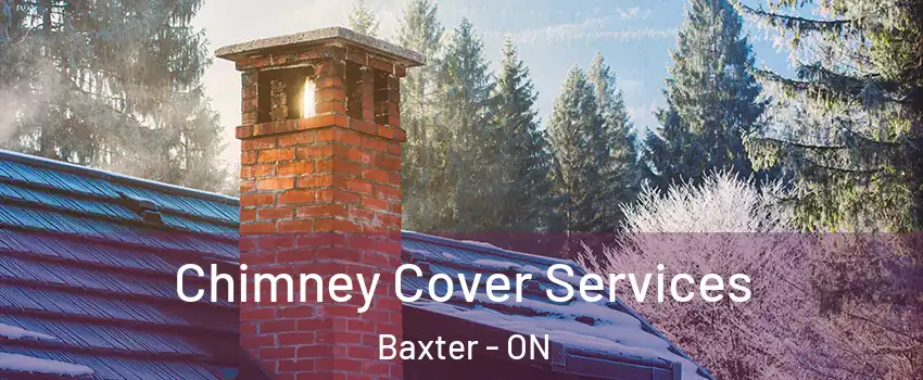  Chimney Cover Services Baxter - ON
