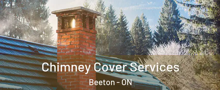  Chimney Cover Services Beeton - ON