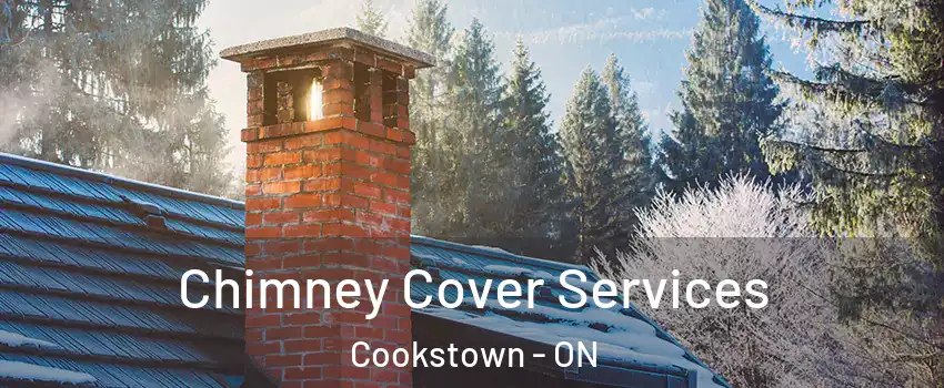  Chimney Cover Services Cookstown - ON