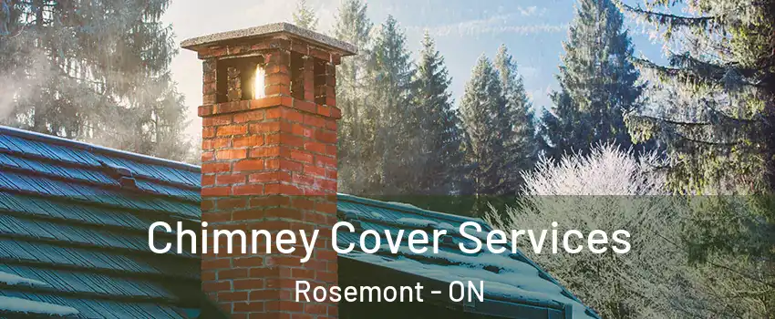  Chimney Cover Services Rosemont - ON