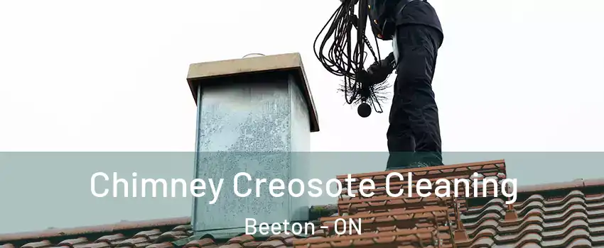  Chimney Creosote Cleaning Beeton - ON