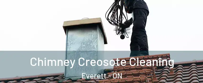 Chimney Creosote Cleaning Everett - ON