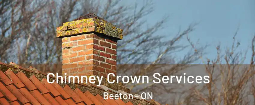  Chimney Crown Services Beeton - ON