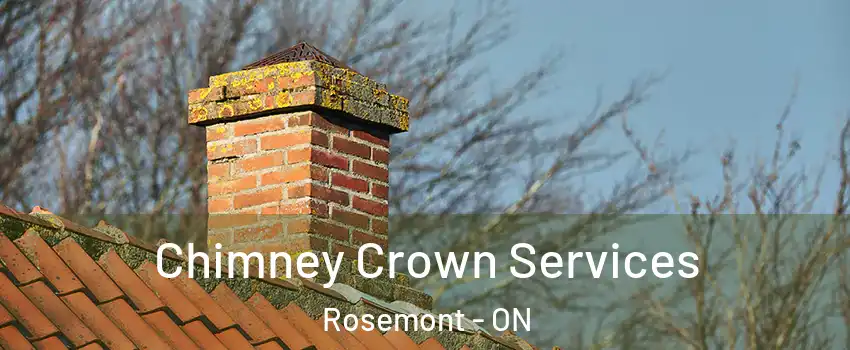 Chimney Crown Services Rosemont - ON