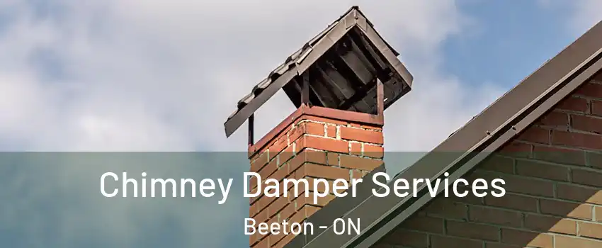  Chimney Damper Services Beeton - ON