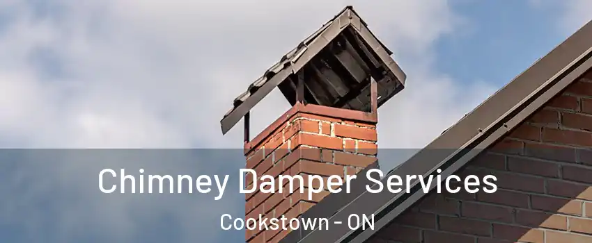  Chimney Damper Services Cookstown - ON