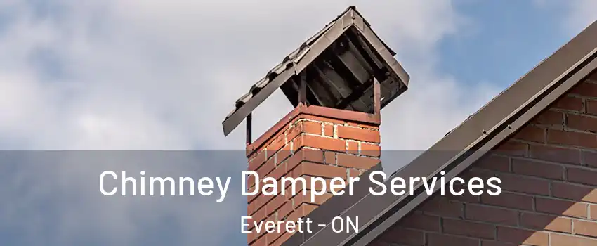  Chimney Damper Services Everett - ON