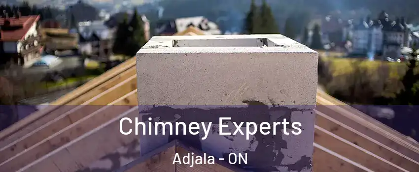  Chimney Experts Adjala - ON
