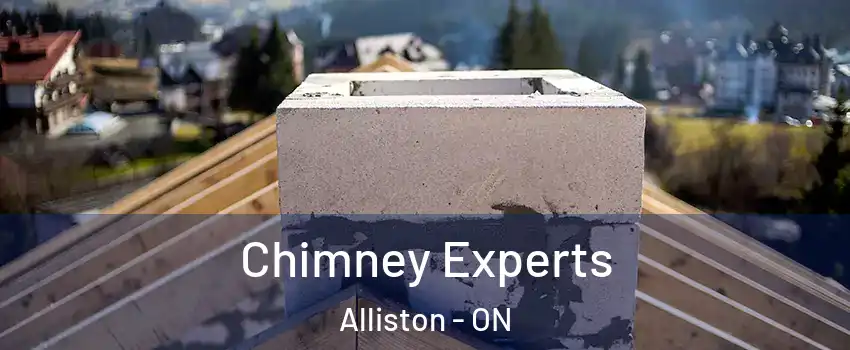  Chimney Experts Alliston - ON