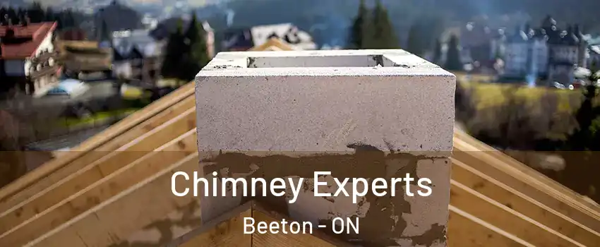  Chimney Experts Beeton - ON