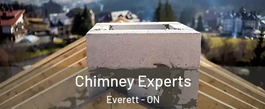  Chimney Experts Everett - ON