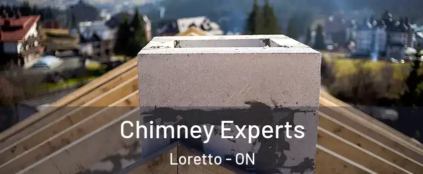  Chimney Experts Loretto - ON