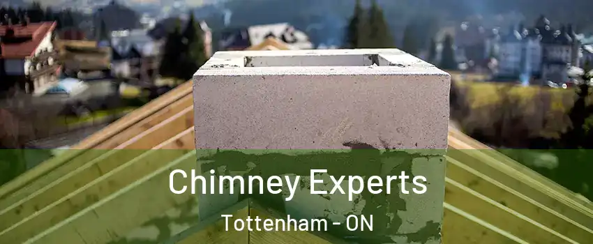  Chimney Experts Tottenham - ON